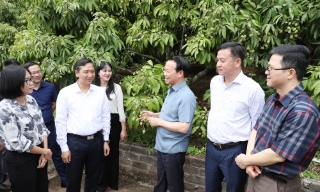 Bộ trưởng Đỗ Đức Duy: Chung sức, đồng lòng nâng tầm thương hiệu vải thiều Bắc Giang